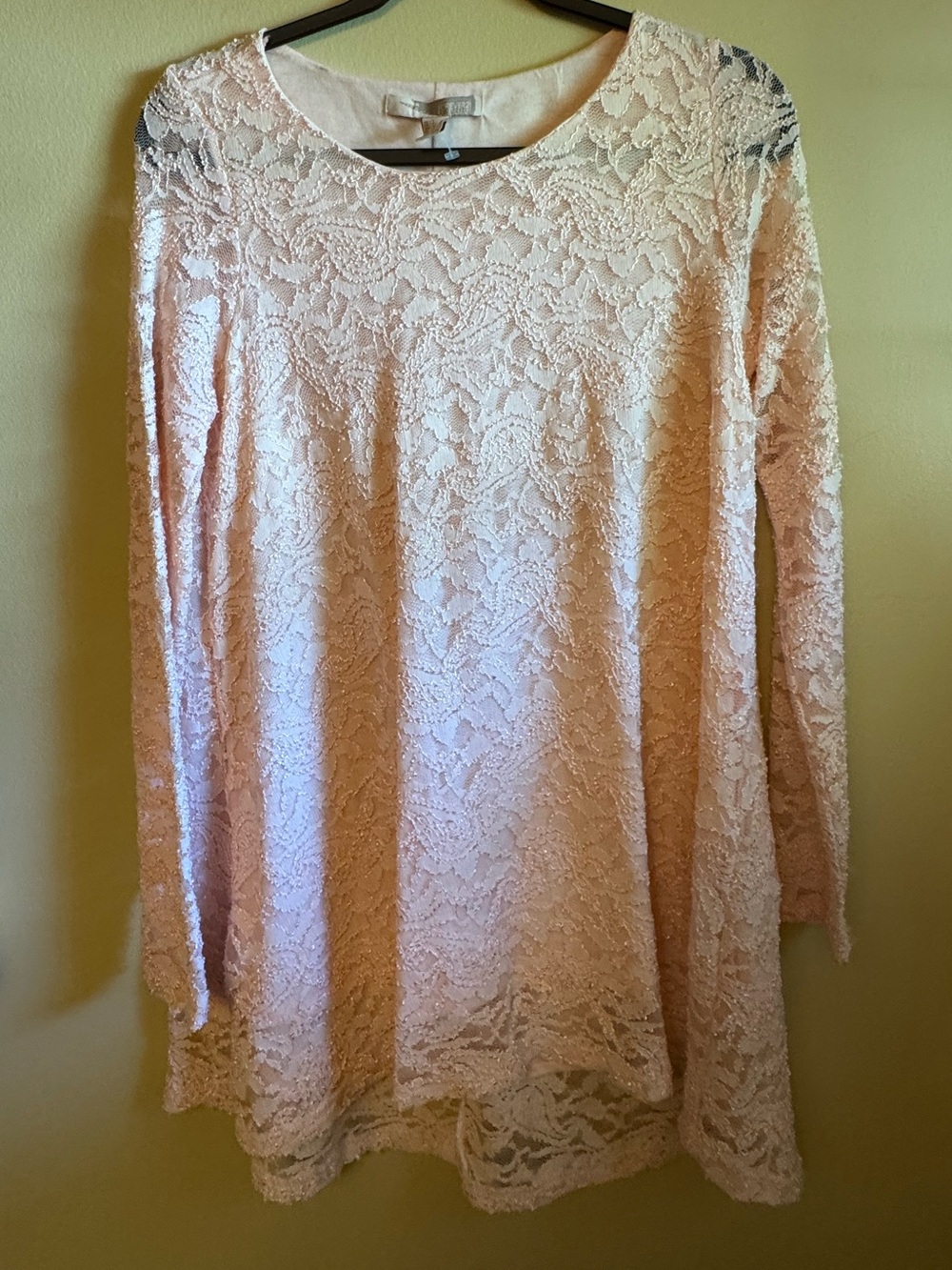 Forever 21 Blush Lace Dress